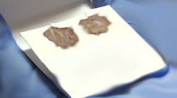 淮安胎儿亲子鉴定哪里做(受理地址)